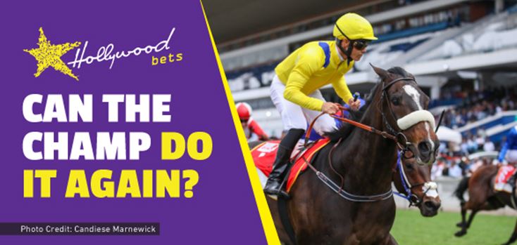 Hollywoodbets - Can The Champ Do It Again - Horse Racing