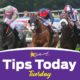 Tuesday Tips Today Horse Racing Hollywoodbets 1