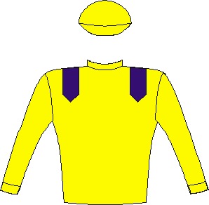 Do It Again - silks - horse racing - Yellow, royal blue epaulettes, yellow sleeves and cap