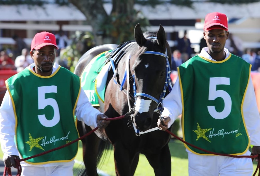 Grooms Initiative and Coloured Saddle Cloths - Hollywoodbets Greyville - Horse Racing