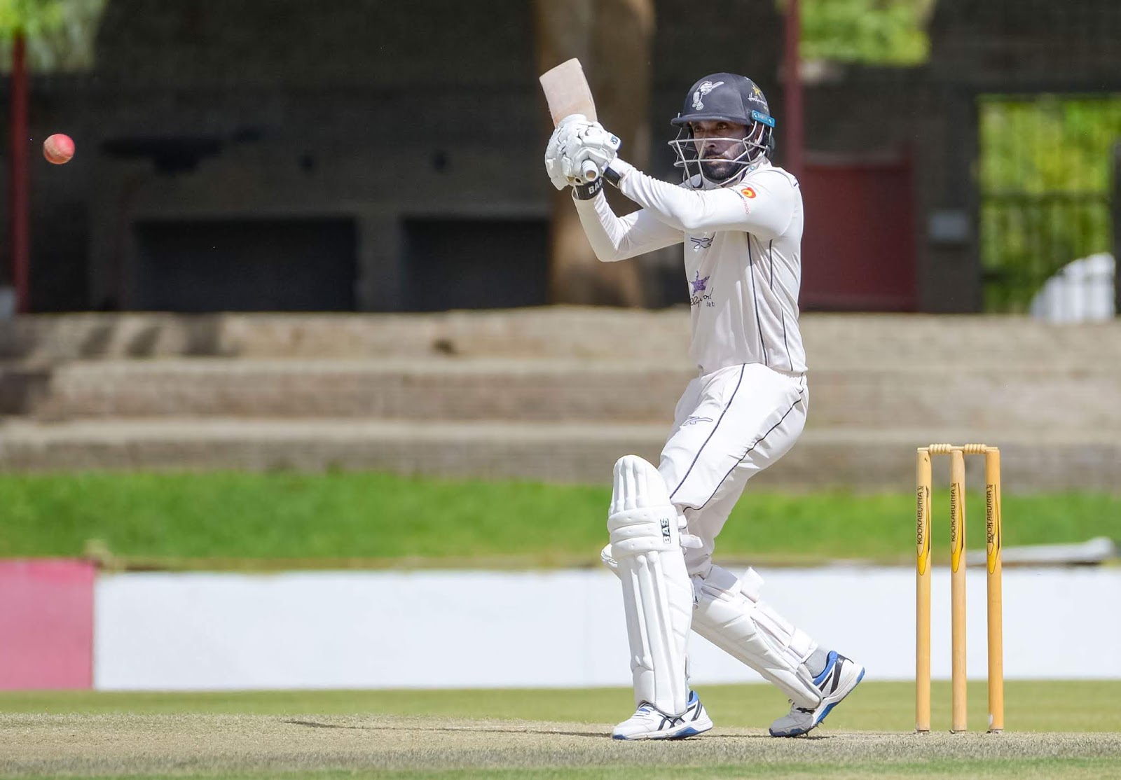 Another second innings half century from Cody Chetty helped the Hollywoodbets Dolphins rescue a draw against the World Sports Betting Cape Cobras in their CSA 4-Day Domestic Series match at the Pietermaritzburg Oval on Thursday. 