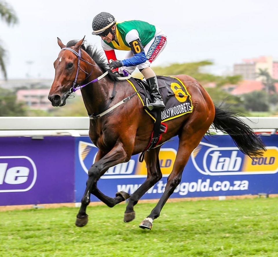 The horse MASTER VISION being ridden to victory by Anton Marcus at Hollywoodbets Greyville Racecourse