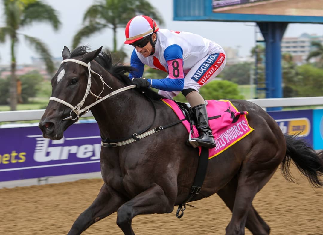 CHATTERTONS KEEPER - horse winning at Hollywoodbets Greyville Polytrack