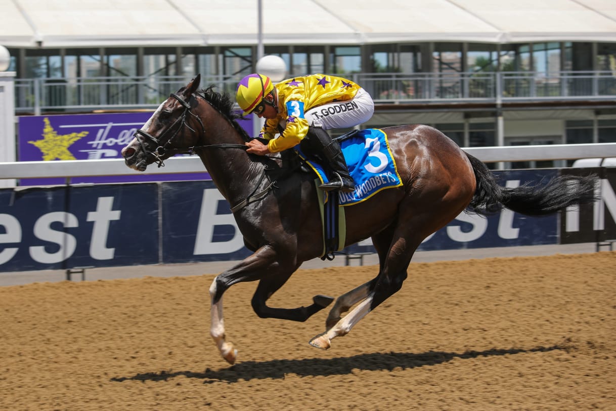 GAIL FORCE ridden to victory at Hollywoodbets Greyville Racecourse by Tristan Godden. Horse Racing