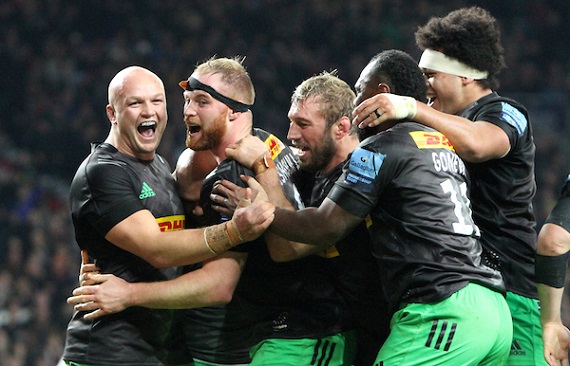 Harlequins players celebrate try