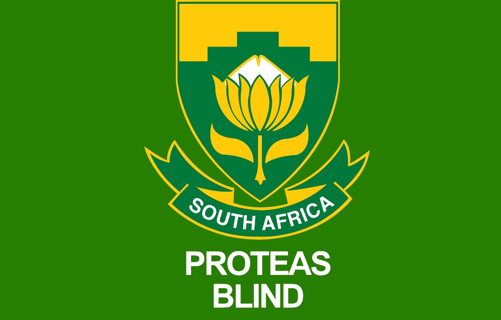 Blind Cricket South Africa Vs New Zealand - 2020 Series | Hollywoodbets ...