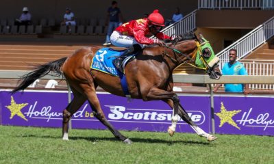 Hollywoodbets Scottsville Horse Racing Copyright Candiese Lenferna