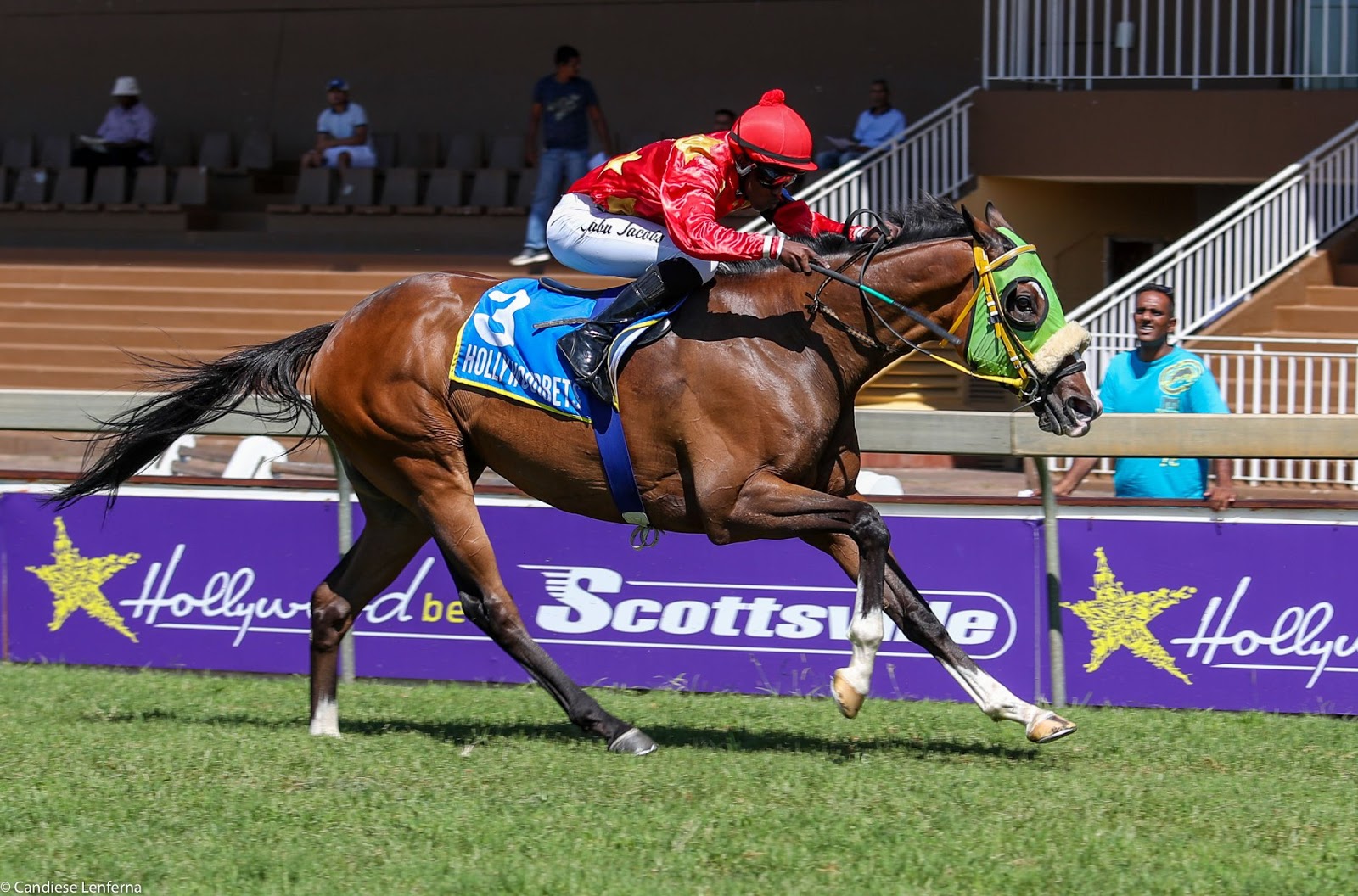 Horse Racing at Hollywoodbets Scottsville