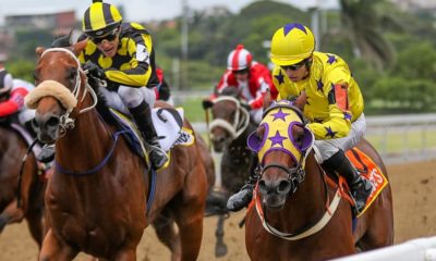 Horse Racing at Hollywoodbets Greyville Racecourse