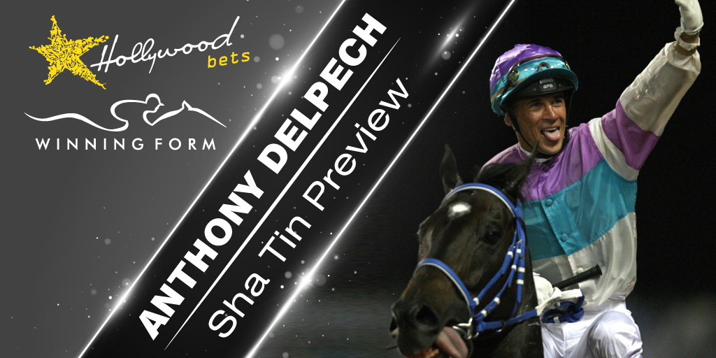 Anthony Delpech - Sha Tin Preview - Winning Form and Hollywoodbets
