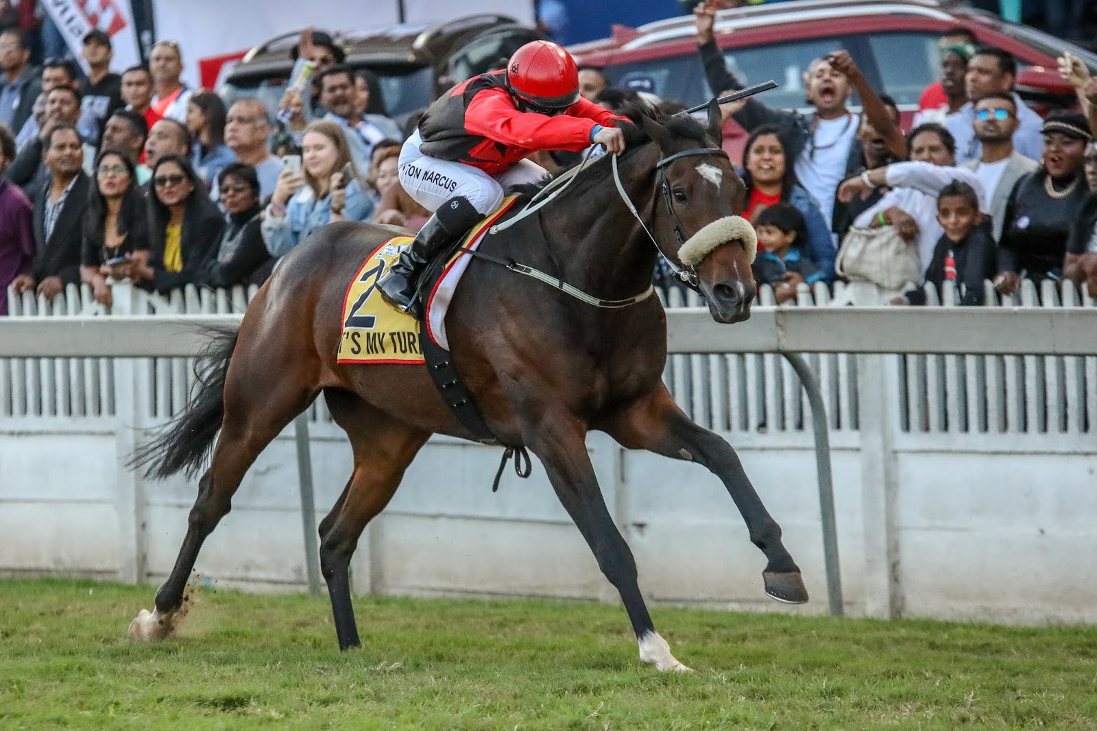 Vodacom Durban July 2020 Horse Profile - It's My Turn