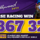 20200830 HWBLOG POSTIMG Horse Racing Big Win R390 774