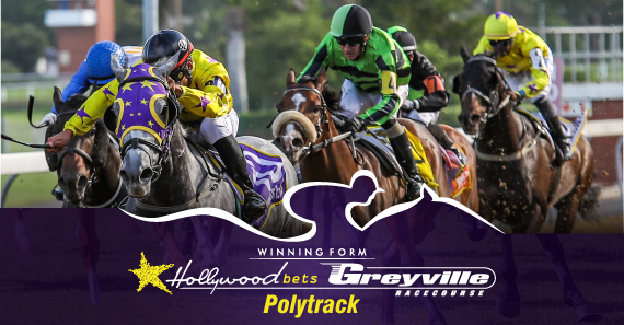Hollywoodbets Greyville Best Bets - Monday 4 January 2021