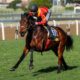 Balgarion - Vodacom Durban July