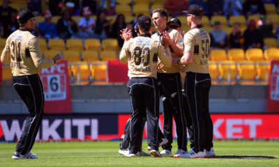 New Zealand Celebrate Wicket - T20 World Cup Sense Prevails