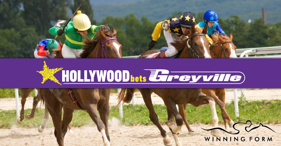 greyville horse racing betting terms