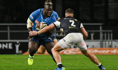 Sharks vs Bulls - Currie Cup Final Preview