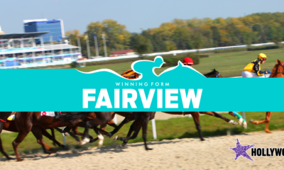 Fairview Tips