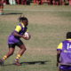 Hollywoodbets Rugby