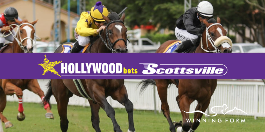 Hollywoodbets Scottsville Tips