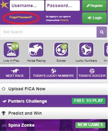 Reset Password Hollywoodbets