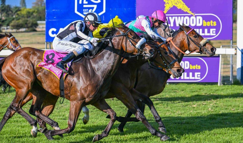 Hollywoodbets Durbanville Race