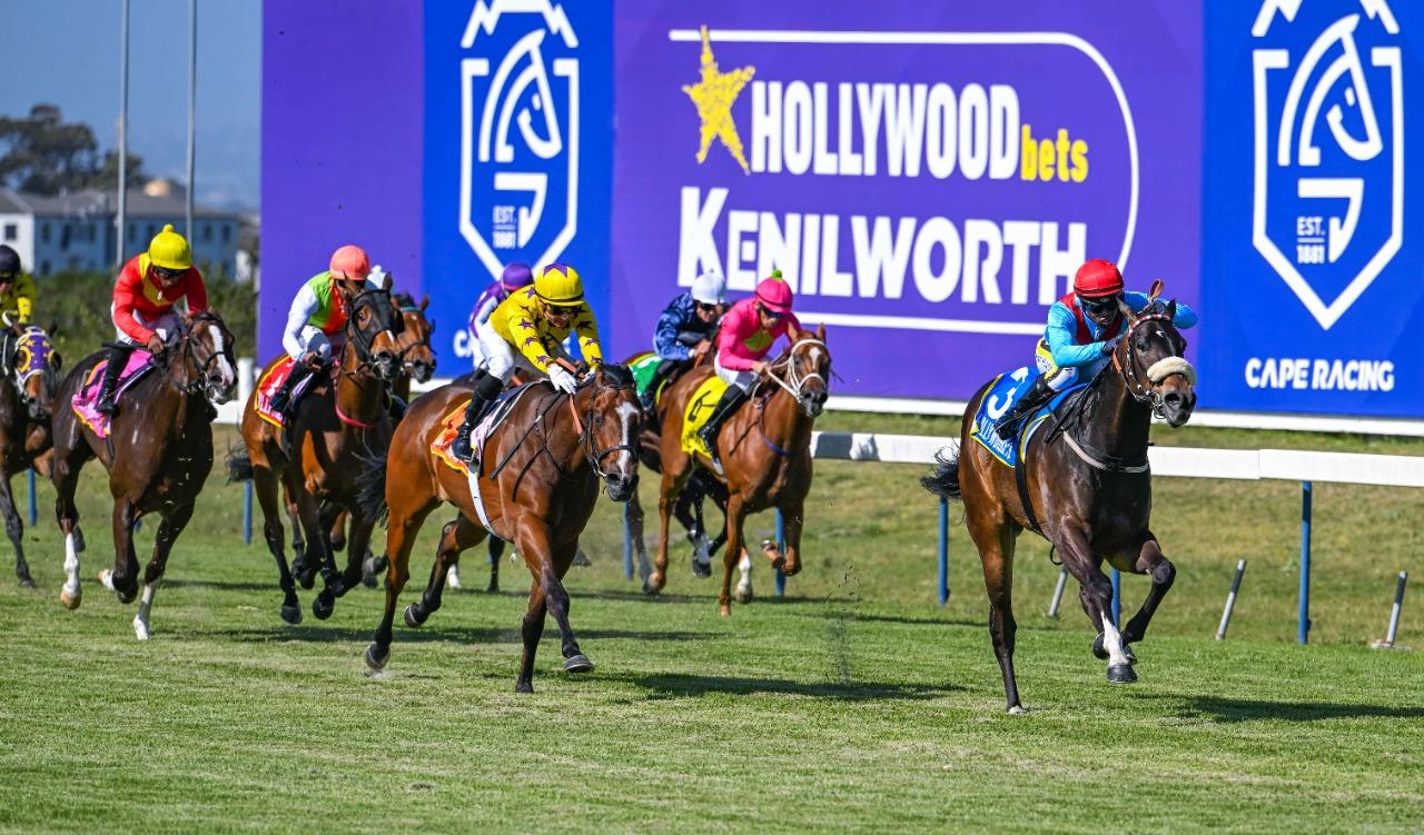 Hollywoodbets Kenilworth