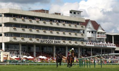 Runners and riders pass the grandstand during the Join Racing TV Now Handicap at Haydock Park Racecourse in Newton-le-Willows, Merseyside. Picture date: Wednesday June 9, 2021.