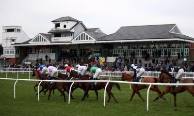 Racegoers watch the action from the Sky Bet Extra Places Every Day Maiden Hurdle at Catterick Bridge Racecourse.