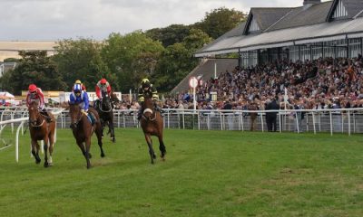 Exemplary Horse Racing Since 1816.Horses and Jockeys during a race at Musselburgh Racecourse, East, Lothian, Scotland, UK