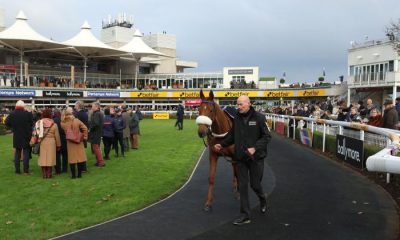 Maximilian in the parade ring before the Ballymore Winter Novices' Hurdle during day one of The Betfair Tingle Creek Festival at Sandown Park Racecourse, Esher. Picture date: Friday December 2, 2022.