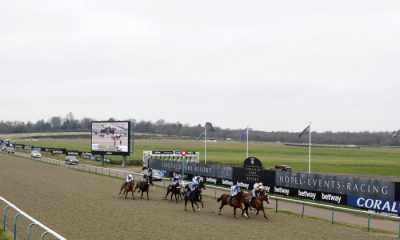 The Winter Million Festival - Day Two - Lingfield Park