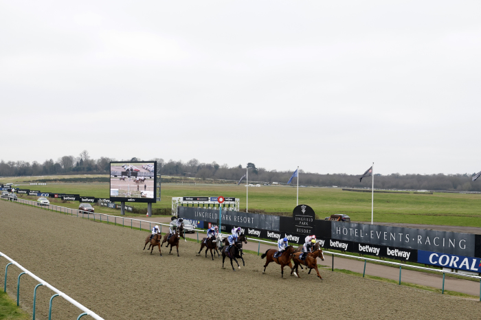 The Winter Million Festival - Day Two - Lingfield Park