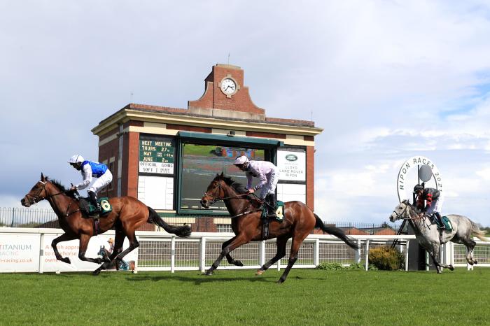 Runners and riders complete The Wilmot-Smith Memorial Handicap at Ripon Racecourse. Picture date: Sunday May 16, 2021.