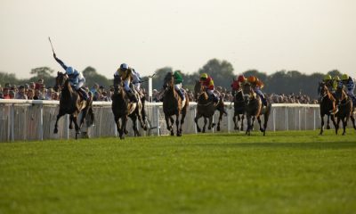 arab thoroughbred racehorses racing at Windsor Royal Racecourse