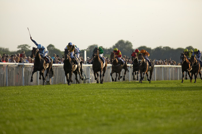 arab thoroughbred racehorses racing at Windsor Royal Racecourse