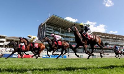 A general view of runners and riders in the Goffs UK Premier Yearling Stakes during day two of the Yorkshire Ebor Festival at York Racecourse.