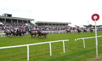 Golden Love ridden by Pat Cosgrave wins the quinnbet.com Handicap at Great Yarmouth Racecourse. Picture date: Wednesday July 7, 2021.