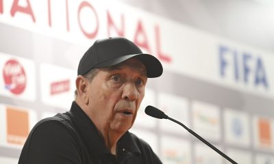 Jean Louis Gasset, head coach of Ivory Coast