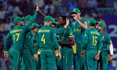 Proteas Celebrate a wicket - Cricket World Cup