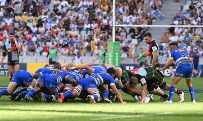 Heineken Champions Cup - Outright Preview - Stormers v Harlequins
